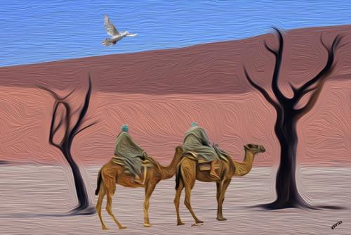 798-DESERT